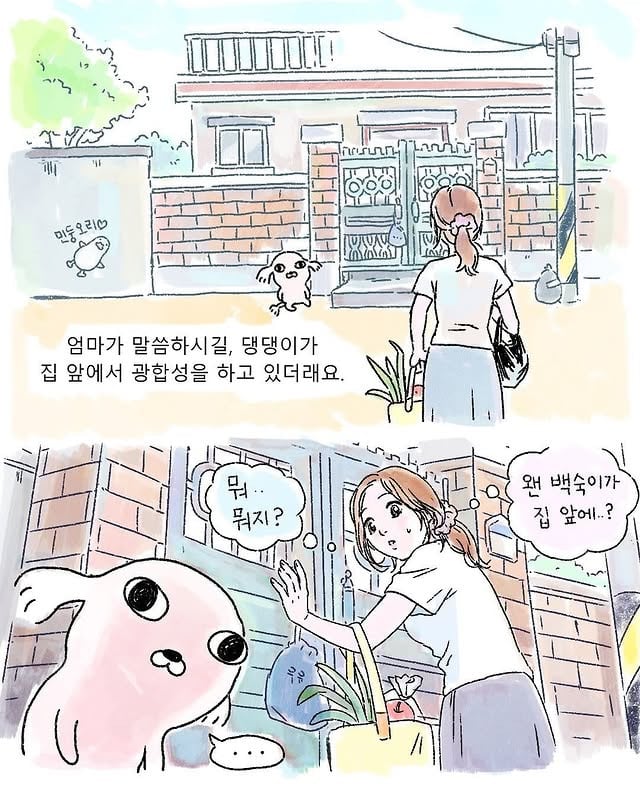 집에 와보니 백숙이 근엄하게 앉아있었다