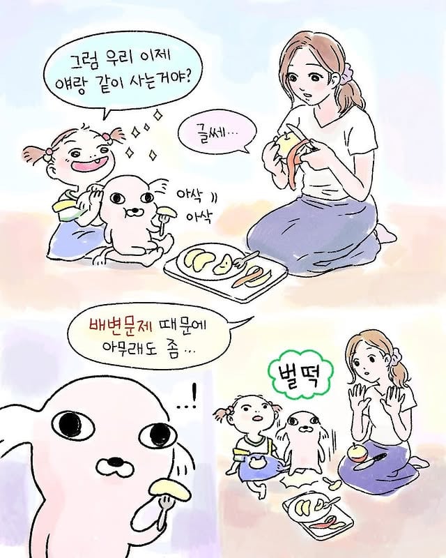 집에 와보니 백숙이 근엄하게 앉아있었다