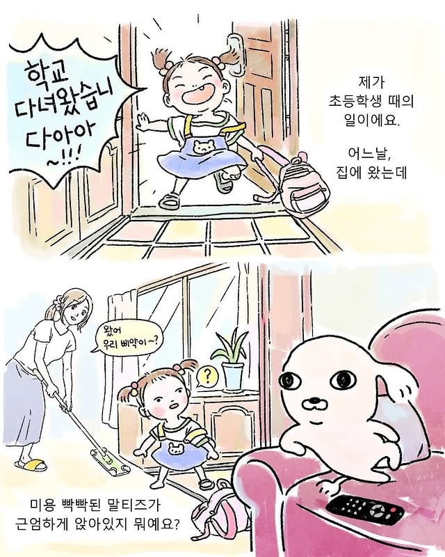 집에 와보니 백숙이 근엄하게 앉아있었다