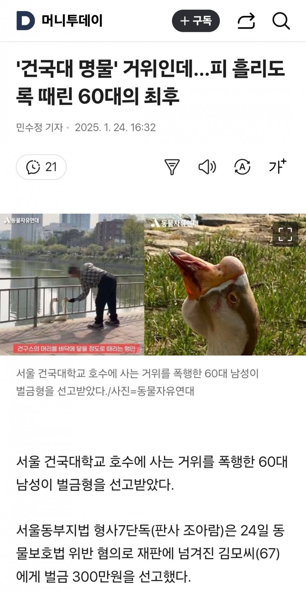 건국대 명물' 거위인데…피 흘리도록 때린 60대의 최후 