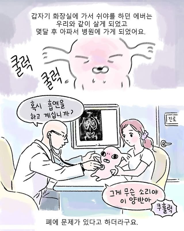 집에 와보니 백숙이 근엄하게 앉아있었다