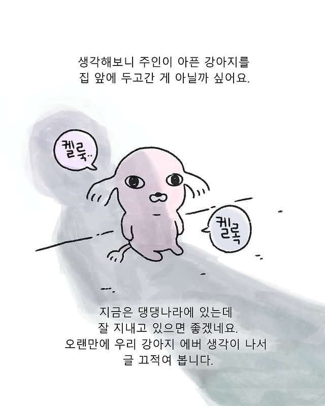 집에 와보니 백숙이 근엄하게 앉아있었다