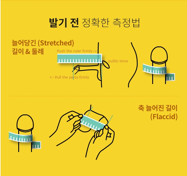 남자 거시기의 평균적인 크기는?