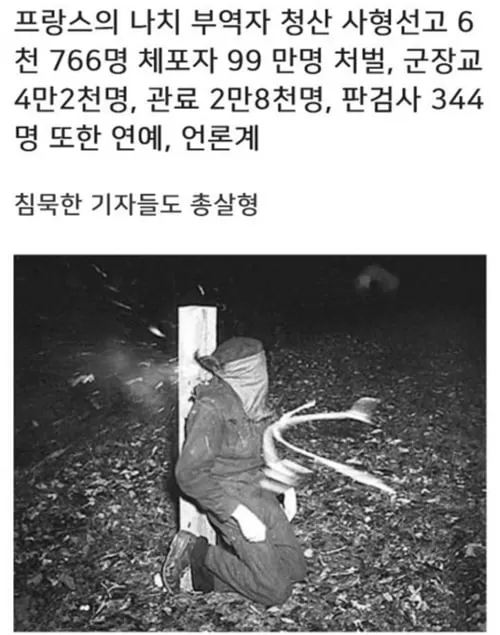 우리 나라도 민족반역자 놈들 저렇게 싹 다 잡아야 했는데